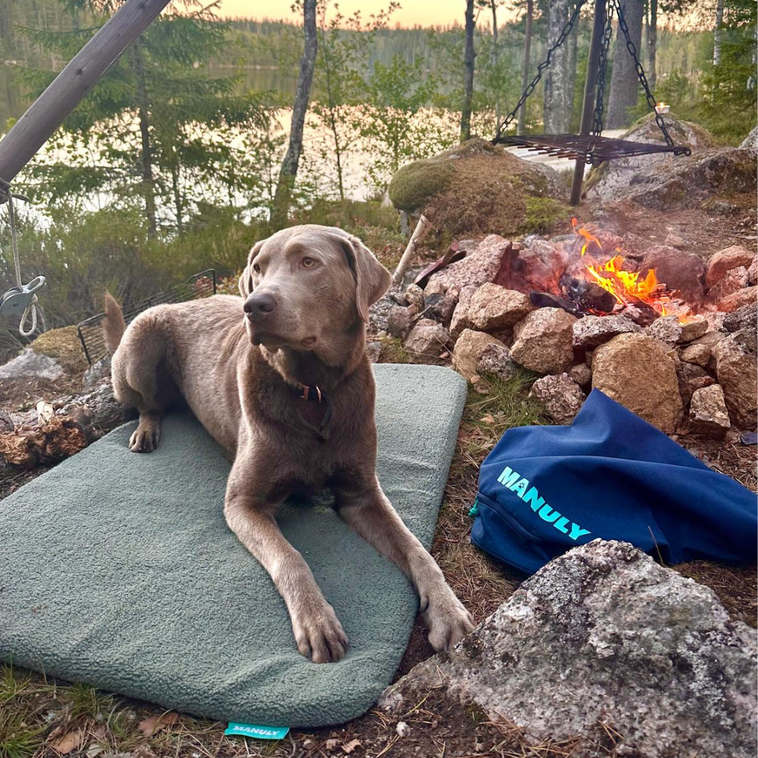 Abenteuer Urlaub mit Hund am Lagerfeuer in der Natur