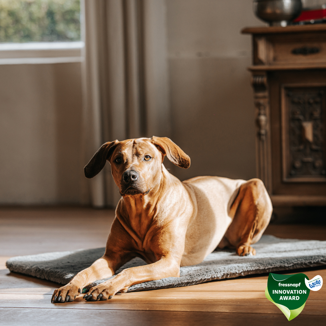 Rhodesian Ridgebacka auf Hundematte und dem Fressnapf Innovation Award Logo