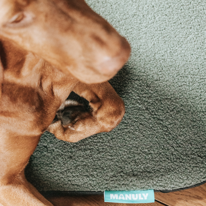 Viszla auf Hundematte von Manuly