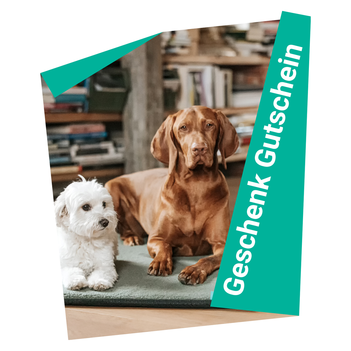 Gutschein Bild mit zwei Hunden auf der Manuly Hundematte