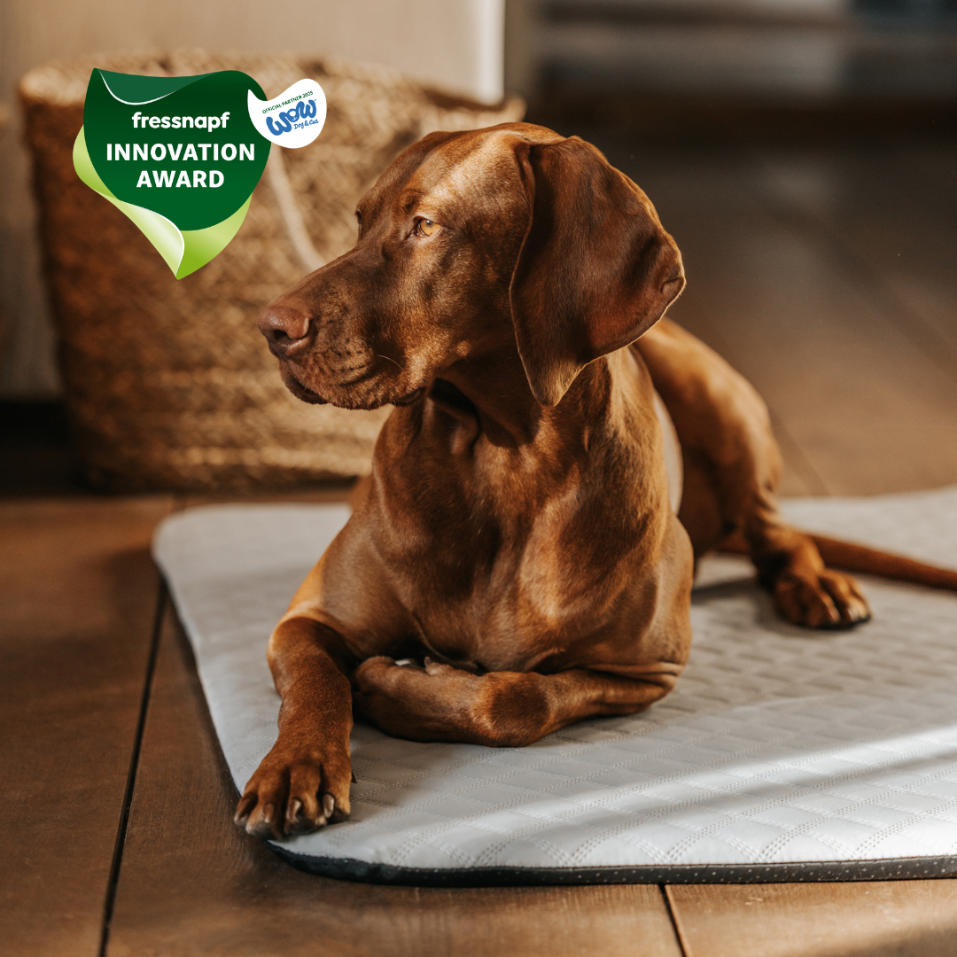 Manuly L Set mit entspanntem Hund und Fressnapf Innovation Award