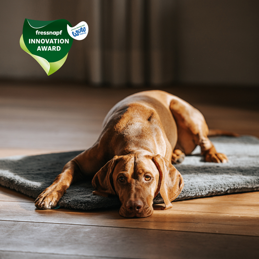 Manuly L Set mit entspanntem Hund und Fressnapf Innovation Award
