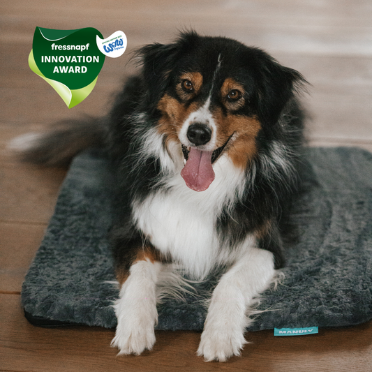 M Set mit entspanntem Hund und Fressnapf Innovation Award