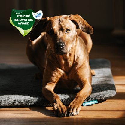 Manuly L Set mit entspanntem Hund und Fressnapf Innovation Award