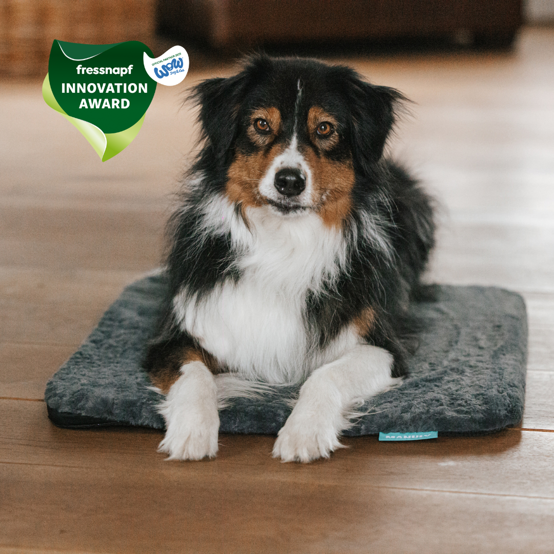 M Set mit entspanntem Hund und Fressnapf Innovation Award