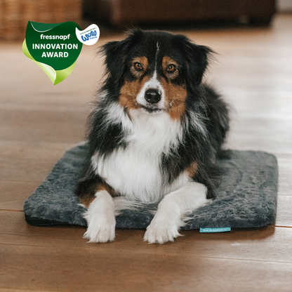 M Set mit entspanntem Hund und Fressnapf Innovation Award