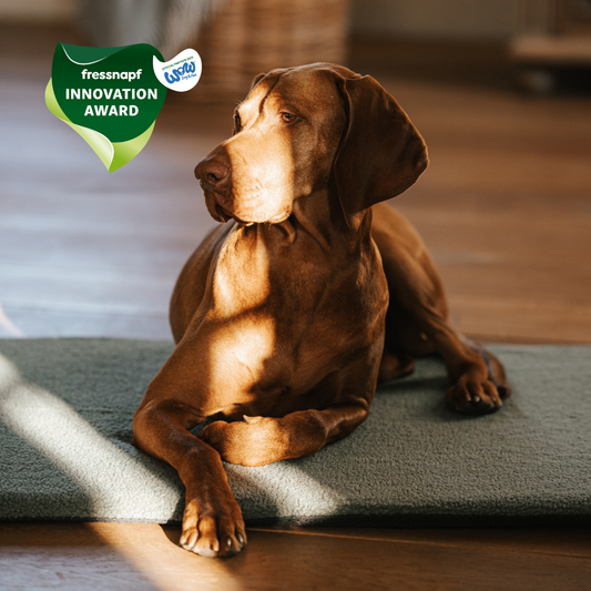 Manuly L Set mit entspanntem Hund und Fressnapf Innovation Award
