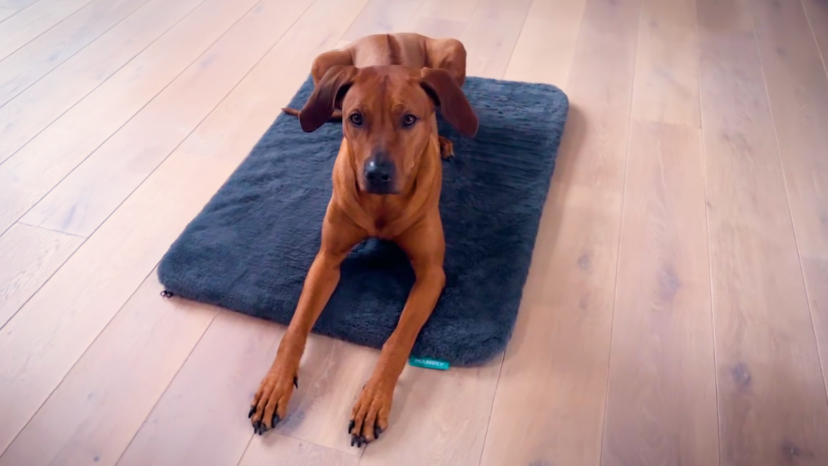 Aufbau Anleitung Manuly Hundematte Schritt 3c